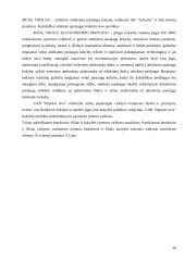 Kokybės sistemos 20 puslapis