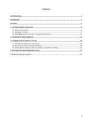 Kokybės sistemos 4 puslapis