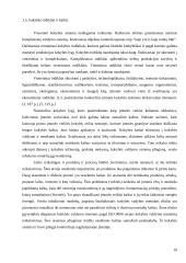 Kokybės sistemos 10 puslapis