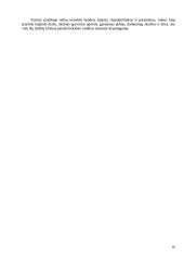 Kokybės sistemos įdiegimo UAB “Iremas” įtaka ekonominiams rodikliams 16 puslapis