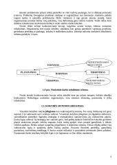 Kokybės sistemos įdiegimo UAB “Iremas” įtaka ekonominiams rodikliams 9 puslapis