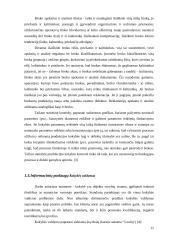 Kokybės sistemos tobulinimo ypatumai informacinių paslaugų įmonėje  12 puslapis