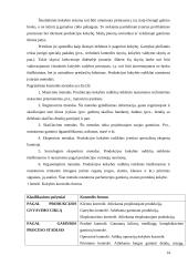 Kokybės sistemos tobulinimo ypatumai informacinių paslaugų įmonėje  14 puslapis