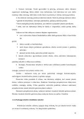 Kokybės sistemos tobulinimo ypatumai informacinių paslaugų įmonėje  16 puslapis