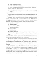 Kokybės sistemos tobulinimo ypatumai informacinių paslaugų įmonėje  17 puslapis