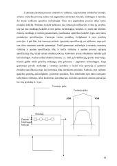 Kokybės sistemos tobulinimo ypatumai informacinių paslaugų įmonėje  18 puslapis