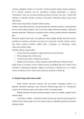 Kokybės sistemos tobulinimo ypatumai informacinių paslaugų įmonėje  6 puslapis