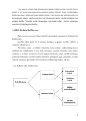 Kokybės sistemos tobulinimo ypatumai informacinių paslaugų įmonėje  9 puslapis