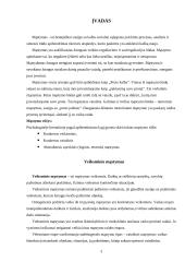 Vaikų vaizdinio mąstymo tyrimas 3 puslapis