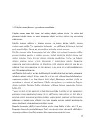  UAB „Baltic Amadeus“ kokybės vadyba 13 puslapis