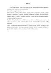  UAB „Baltic Amadeus“ kokybės vadyba 3 puslapis