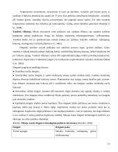 Mėsos kokybė ir kokybiniai rodikliai  13 puslapis