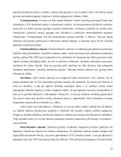 Mėsos kokybė ir kokybiniai rodikliai  19 puslapis