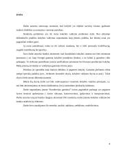 Procesų valdymo "N" organizacijoje įtaka kaštams 4 puslapis