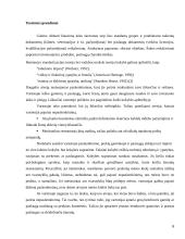 Procesų valdymo "N" organizacijoje įtaka kaštams 6 puslapis