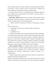 Produkcijos kokybės ir išskirtinumo vertinimas 11 puslapis