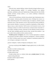 Produkcijos kokybės ir išskirtinumo vertinimas 3 puslapis