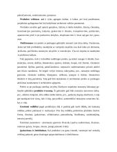 Produkcijos kokybės ir išskirtinumo vertinimas 9 puslapis