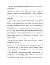 Produkcijos kokybės ir išskirtinumo vertinimas 10 puslapis