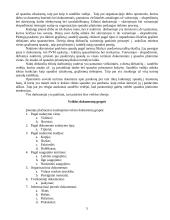 Dalykinė komunikacija: spaudos platinimas UAB "Litpresa" 5 puslapis