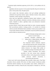 Visuotinės kokybės vadybos (VKV) svarba šalies vystymuisi 2 puslapis