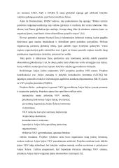 Visuotinės kokybės vadybos (VKV) svarba šalies vystymuisi 11 puslapis