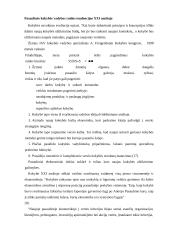 Visuotinės kokybės vadybos (VKV) svarba šalies vystymuisi 12 puslapis