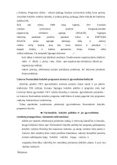 Visuotinės kokybės vadybos (VKV) svarba šalies vystymuisi 16 puslapis