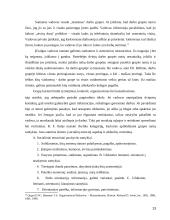 Grupinio darbo efektyvumo įvertinimas 13 puslapis