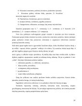 Grupinio darbo efektyvumo įvertinimas 14 puslapis