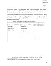 Grupinio darbo efektyvumo įvertinimas 5 puslapis