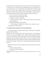 Grupinio darbo efektyvumo įvertinimas 10 puslapis