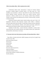 Komunalinių paslaugų tiekimo problemos Šiaulių savivaldybėje. Kursinis darbas 4 puslapis