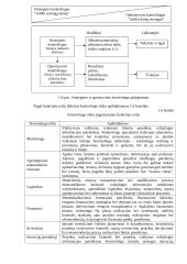 Kontrolingas. Konspektas 12 puslapis