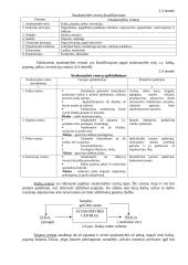 Kontrolingas. Konspektas 19 puslapis