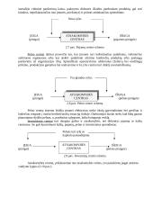 Kontrolingas. Konspektas 20 puslapis
