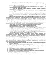 Kontrolingas. Konspektas 8 puslapis