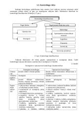 Kontrolingas. Konspektas 10 puslapis