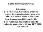 Tinklinis planavimas