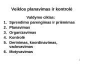 Tinklinis planavimas 2 puslapis