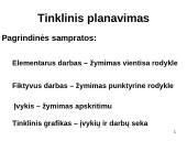 Tinklinis planavimas 13 puslapis