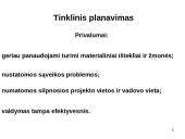 Tinklinis planavimas 10 puslapis