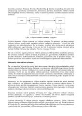 Vadovavimo ciklai. Konspektas 2 puslapis