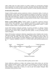 Vadovavimo ciklai. Konspektas 19 puslapis