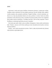 Derybų el. paštu ypatumai 2 puslapis