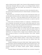 Derybų el. paštu ypatumai 6 puslapis