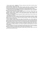 Konfliktų sprendimo kultūros ugdymas  7 puslapis