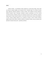 Kritikos technika derybose 2 puslapis