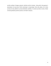 Kritikos technika derybose 8 puslapis