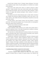Logistinės veiklos organizavimas 14 puslapis